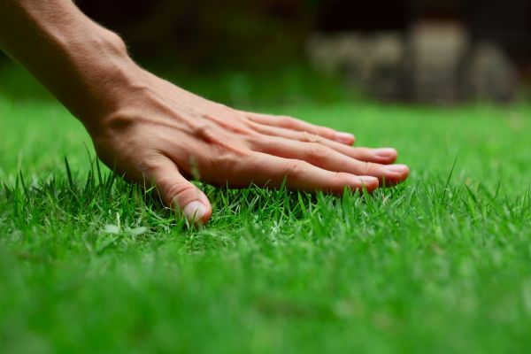 Oklahoma City Lawn Treatment